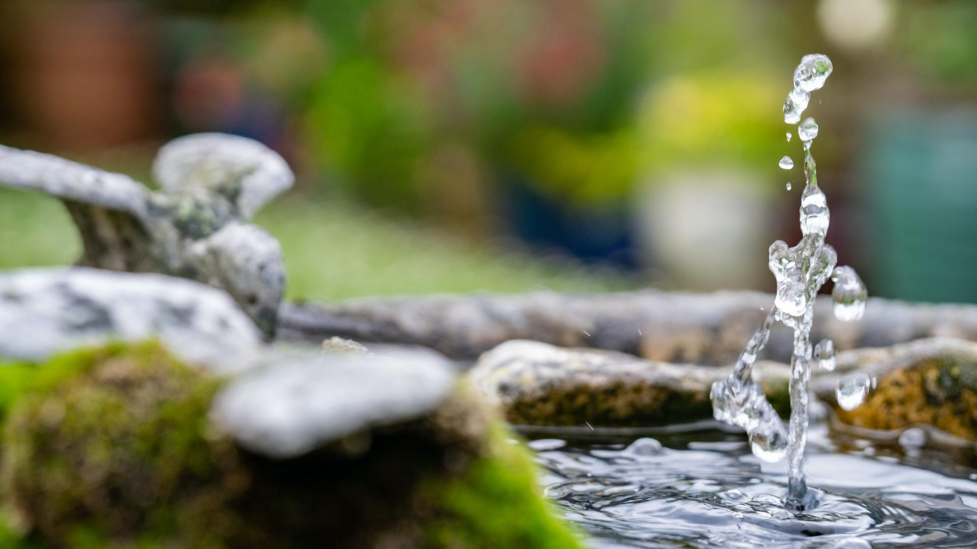water falling from brown wooden log